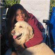 Clases particulares de historia e historia del arte